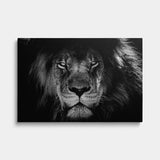 Ein Löwe 🦁 geht seinen Weg - black & white - erfolgslustig