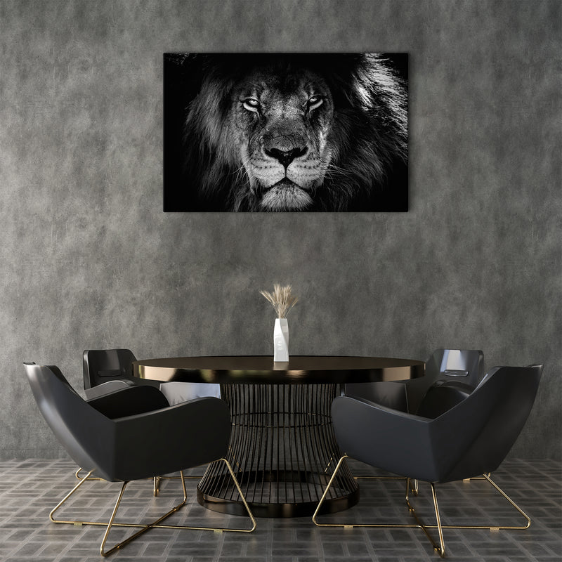 Ein Löwe 🦁 geht seinen Weg - black & white - erfolgslustig
